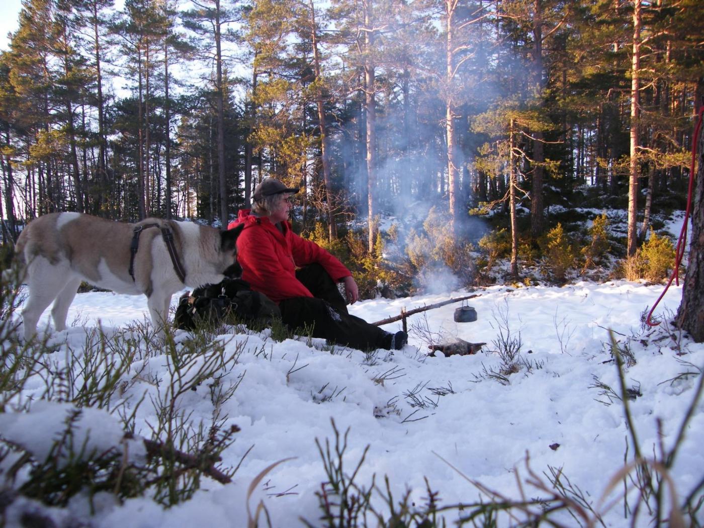 kaffestopp.thumb.JPG.fef9a1ac65c18b89697