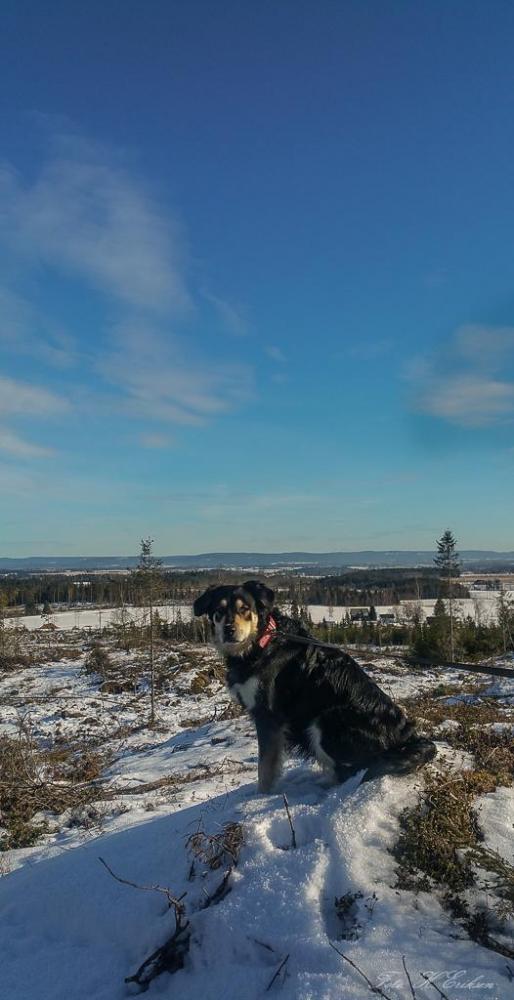 20160228_135025.thumb.jpg.df98c7c0e33d85