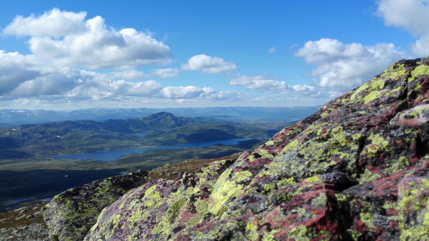 56dc1f1652949_2015-08-2015.25.30.thumb.j