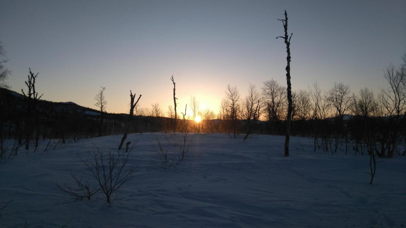 DSC_0081.thumb.JPG.2a69929a7e165ec89b410