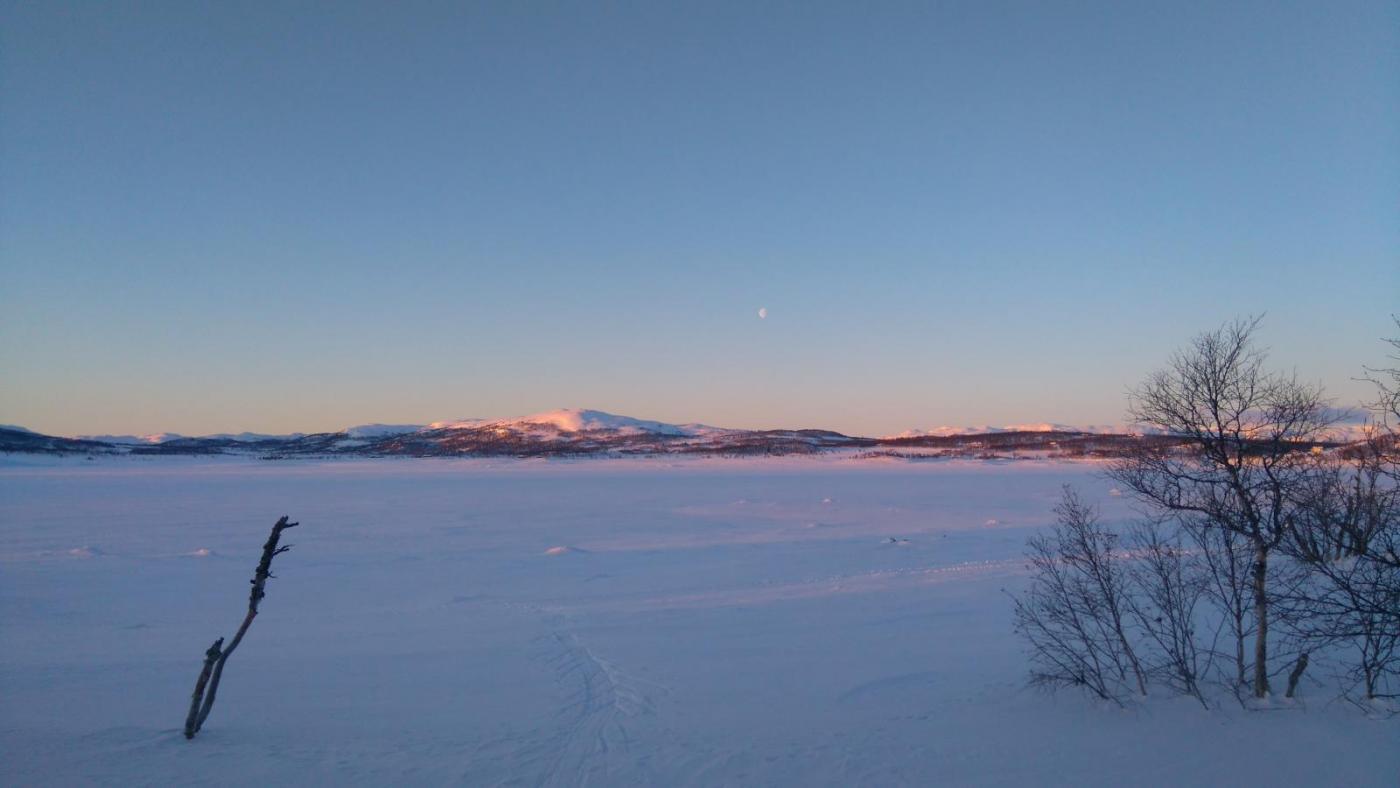 DSC_0082.thumb.JPG.c4397d7bb37ed9d1990d6