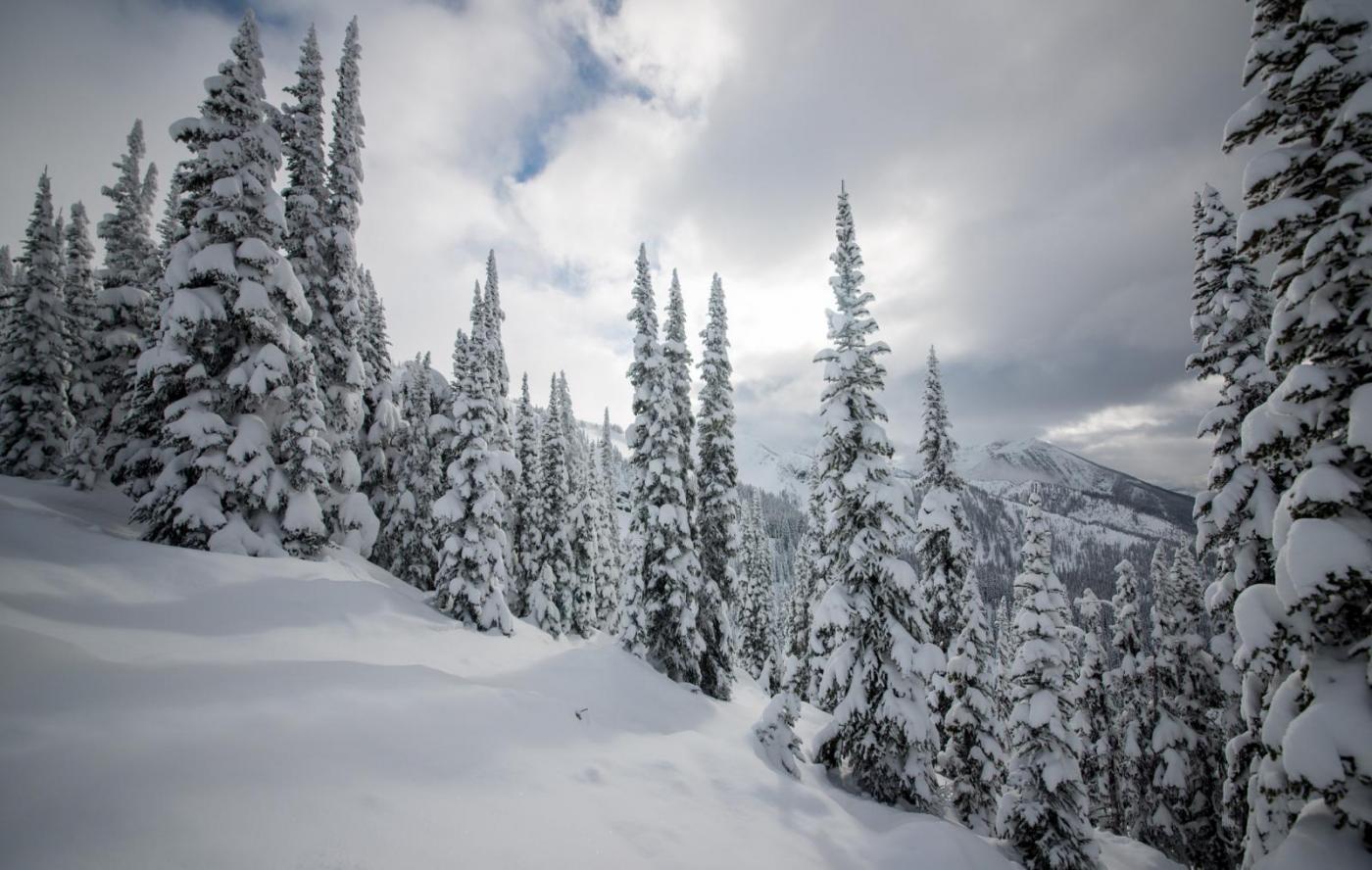 DSC_4796x2048.thumb.jpg.8a21d7e16d67d710