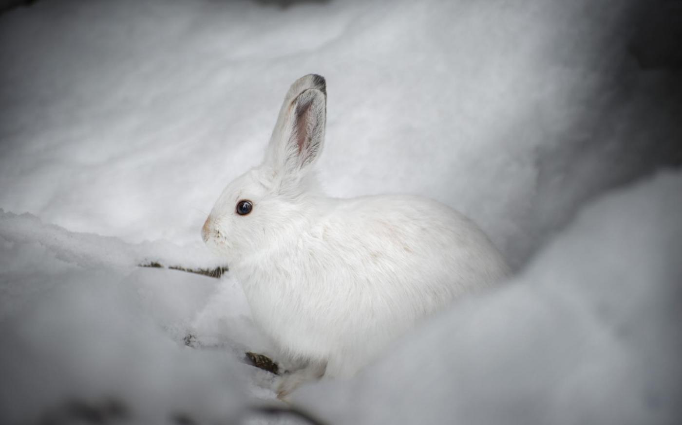 DSC_4840X2x2048.thumb.jpg.a9ef5c59e97424