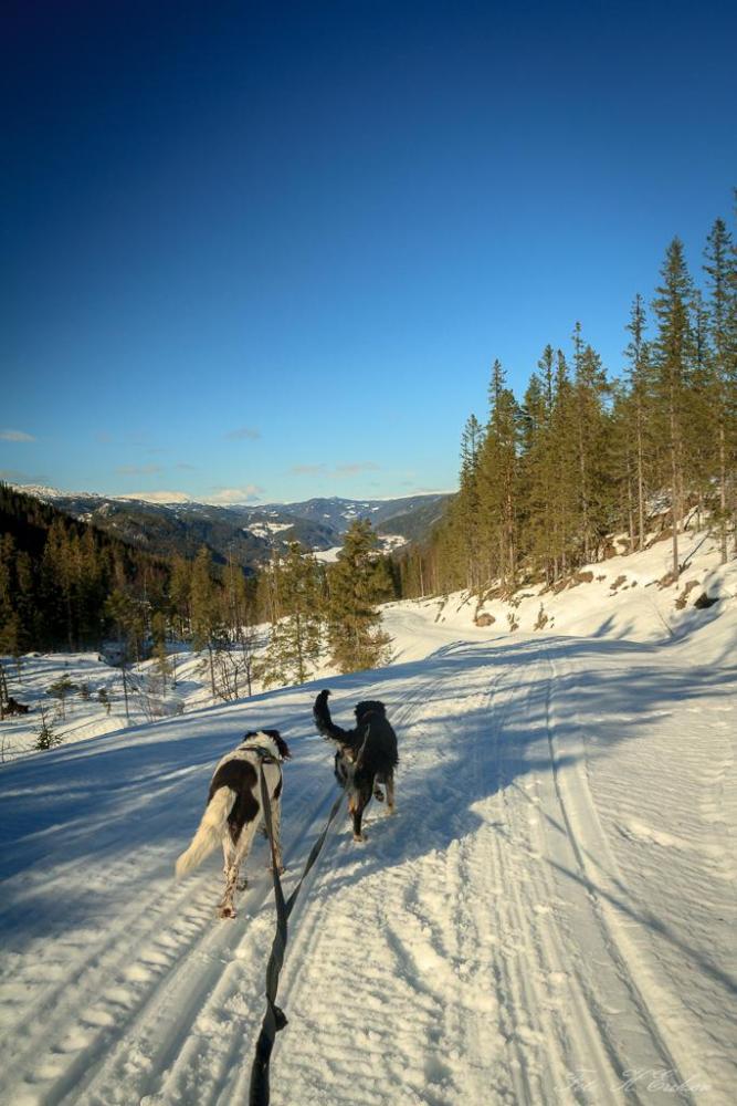 IMG_1257.thumb.jpg.61dff72f4af4ef7b0af06