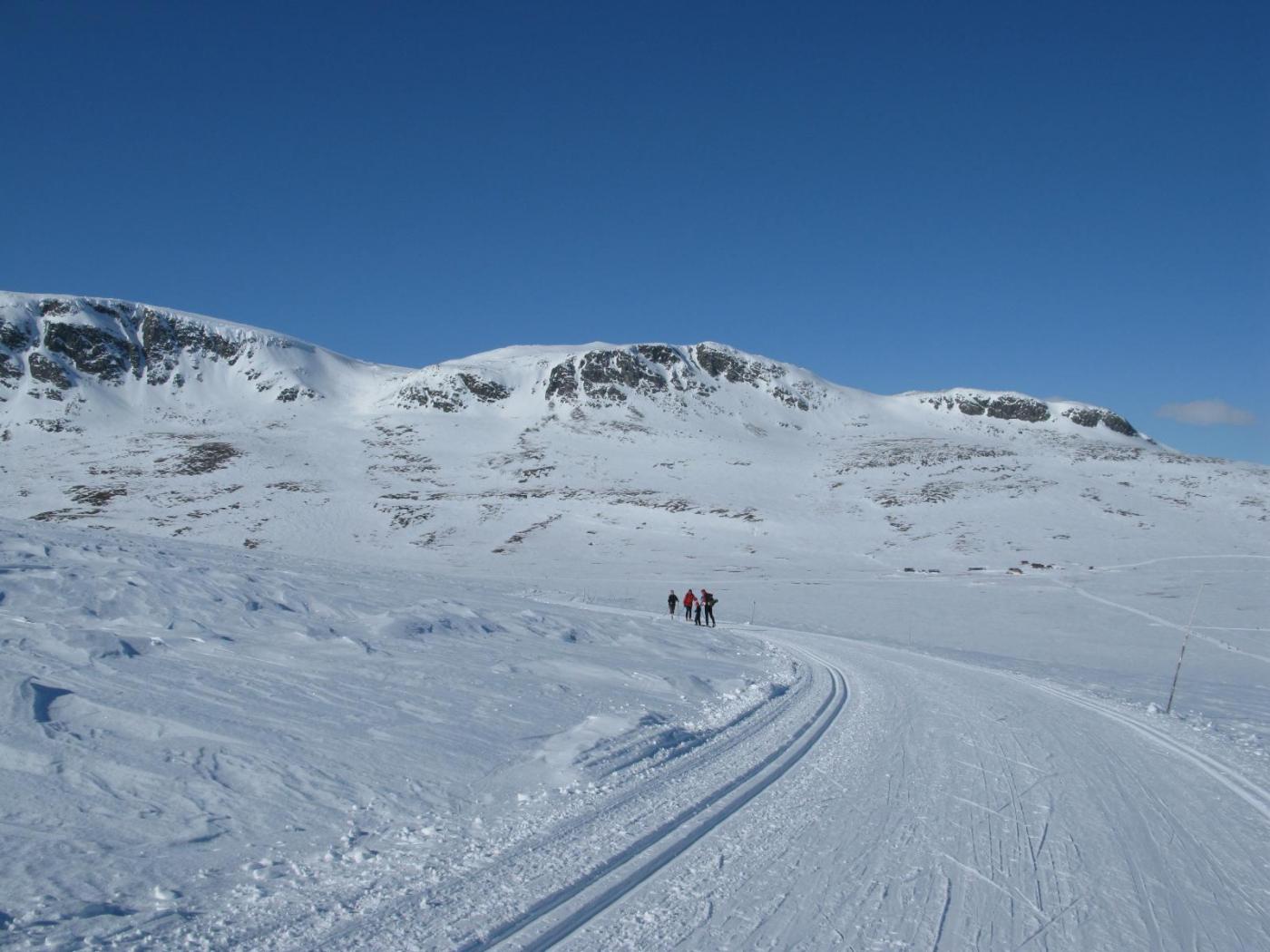 IMG_2147.thumb.JPG.b2b8166b773925136c4dc