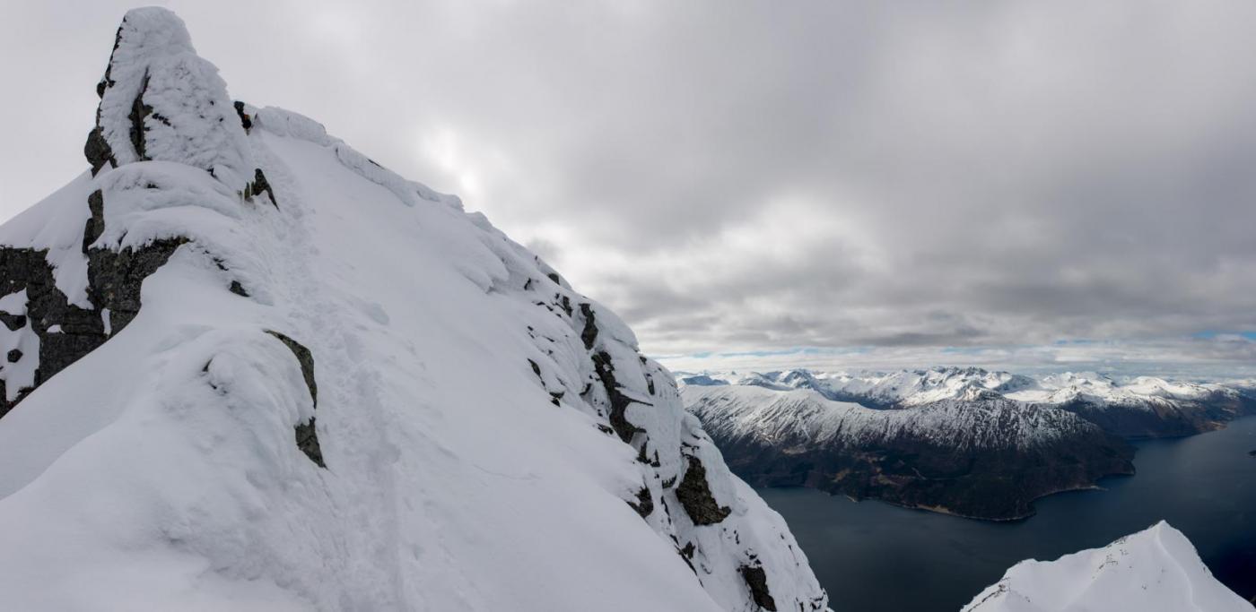 Fulånebba Pano 1x2048.jpg