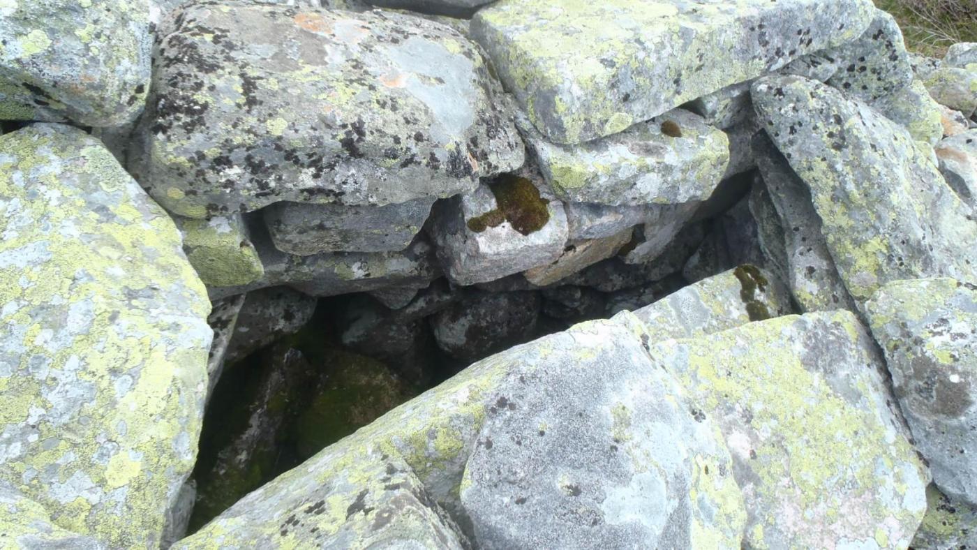 10 - 13 Dyregrav ved Slwtteidvatnet.JPG