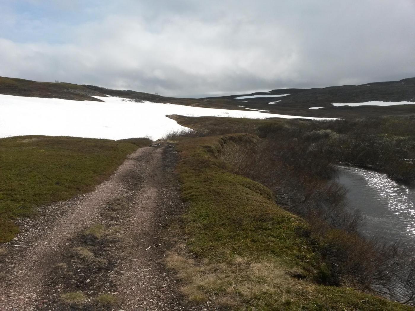 2016-06-10 15.52.53.jpg