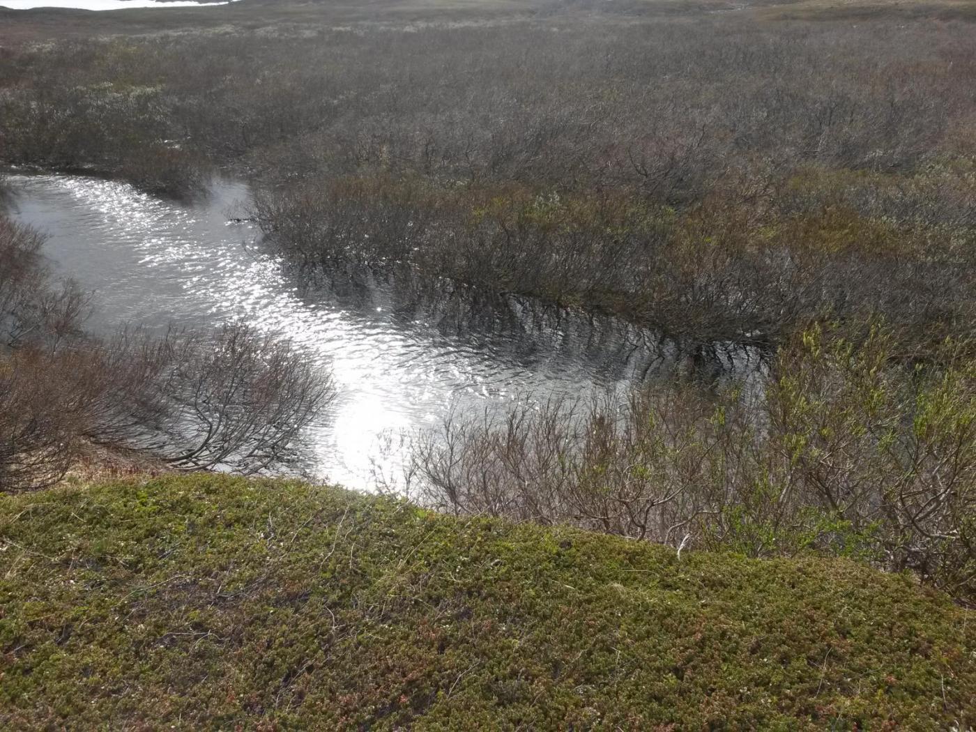 2016-06-10 15.52.56.jpg