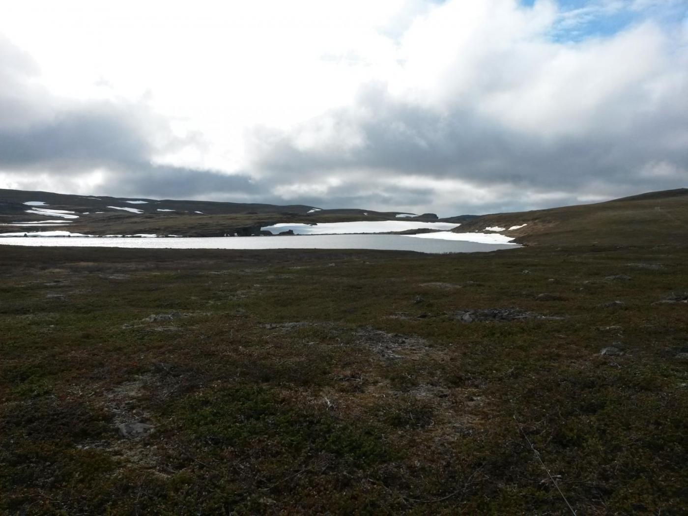 2016-06-10 16.27.10.jpg