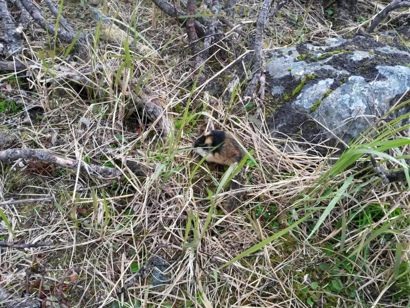 2016-06-10 19.03.42.jpg