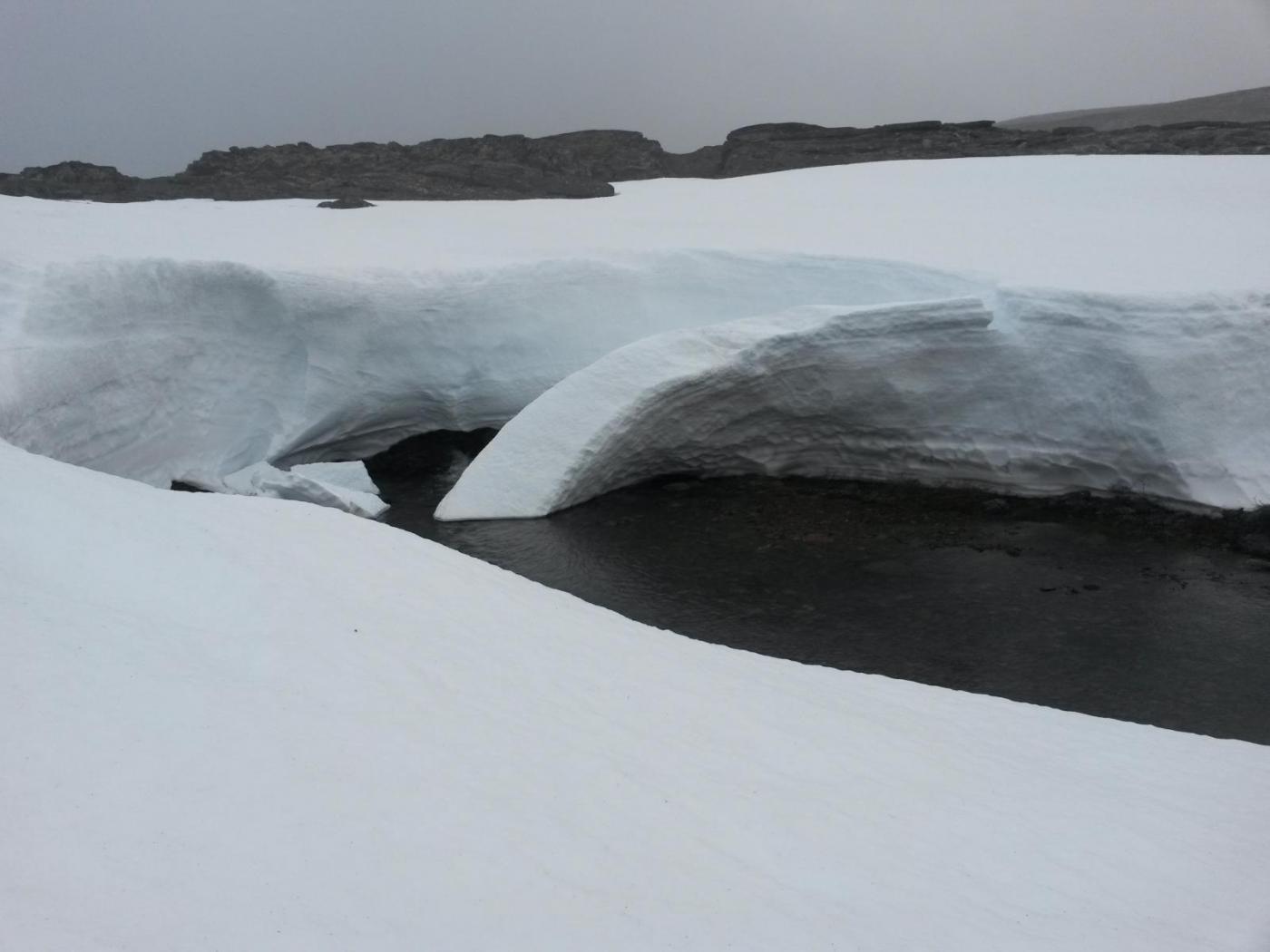 2016-06-10 19.34.10.jpg