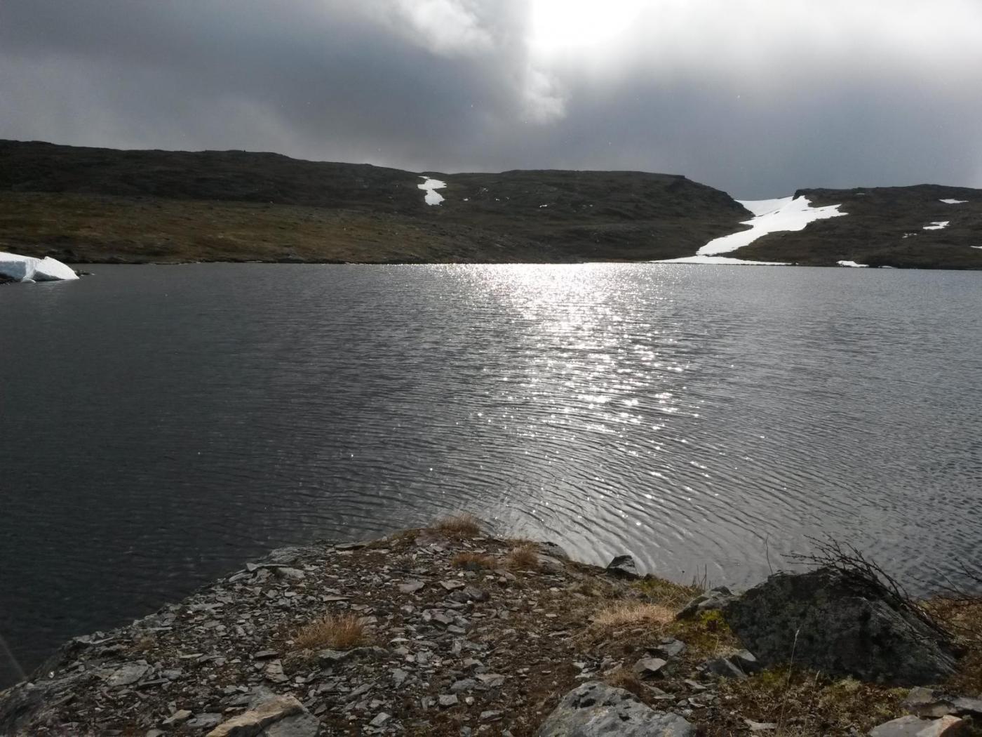 2016-06-11 08.33.54.jpg