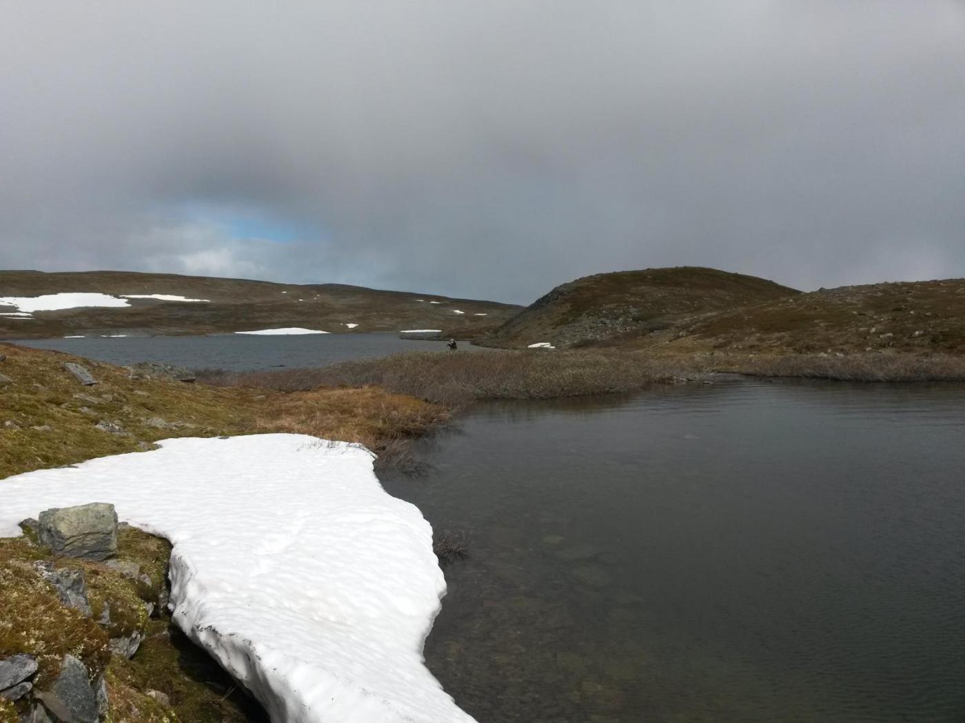 2016-06-11 08.33.59.jpg