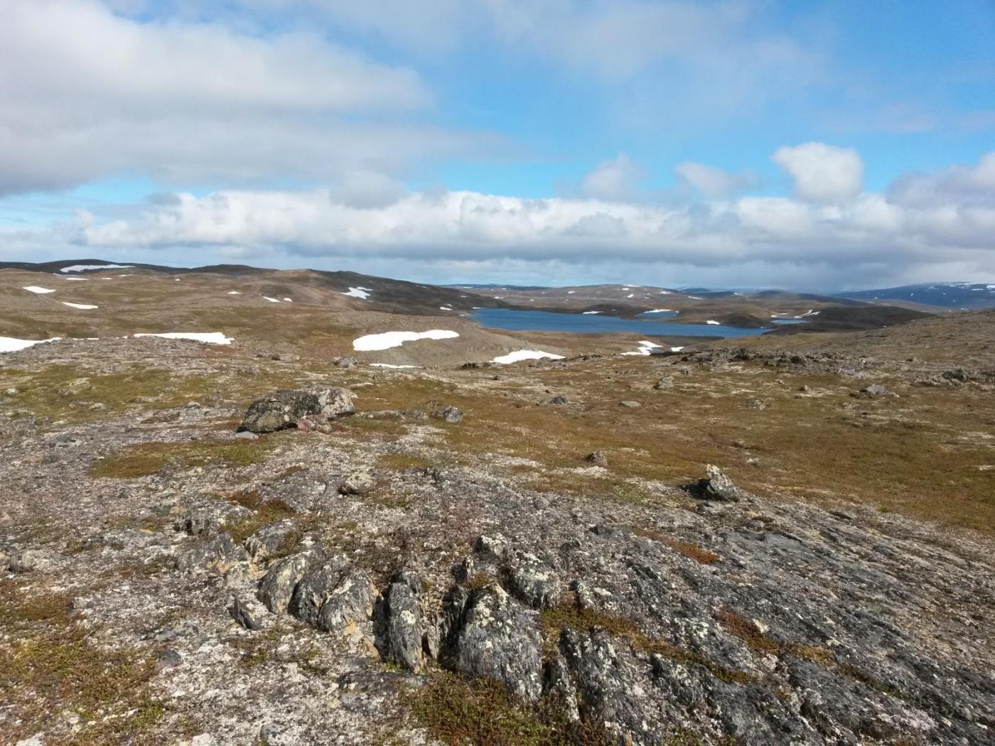 2016-06-11 09.45.17.jpg