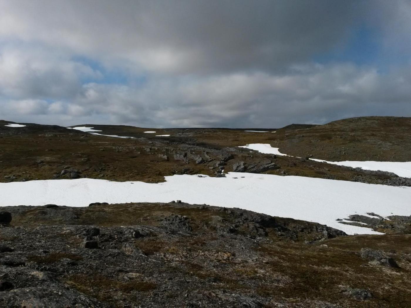 2016-06-11 09.45.20.jpg