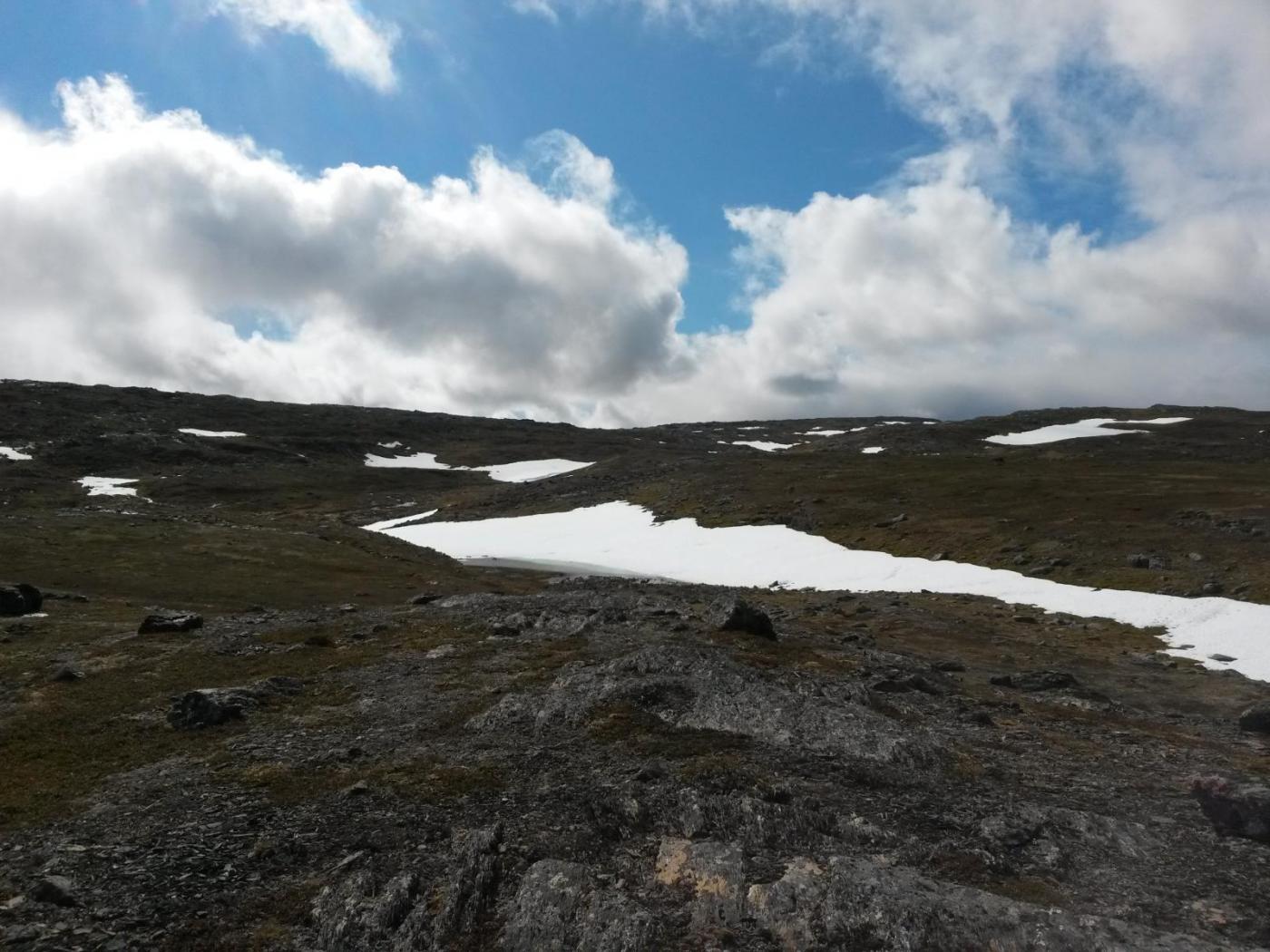 2016-06-11 09.45.23.jpg