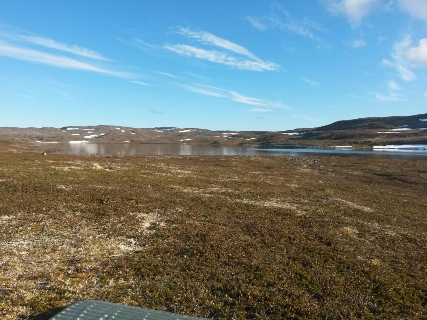 2016-06-11 18.42.13.jpg