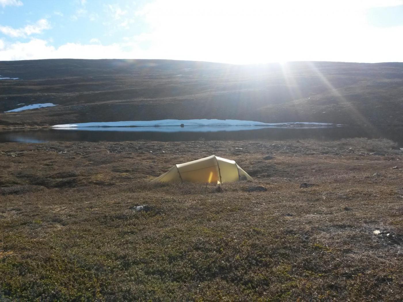 2016-06-11 18.42.20.jpg