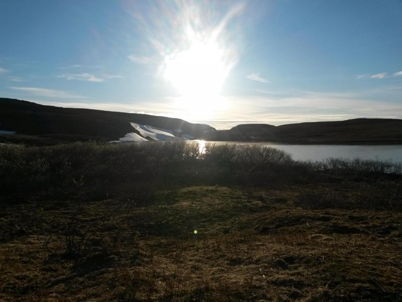 2016-06-11 20.54.04.jpg