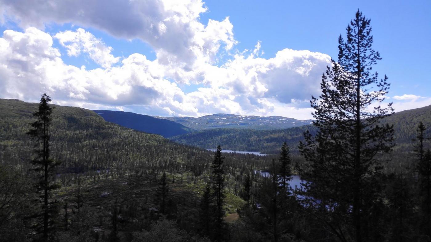 2016-06-19 14.33.21 lunsjopause.jpg