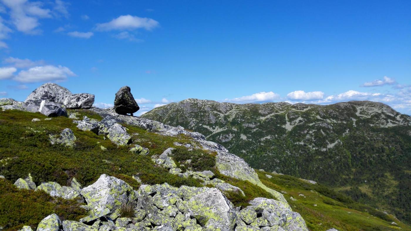 2016-07-09 15.21.05.jpg