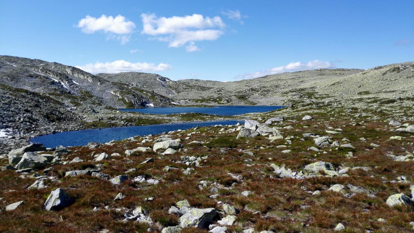 2016-07-09 16.03.58.jpg