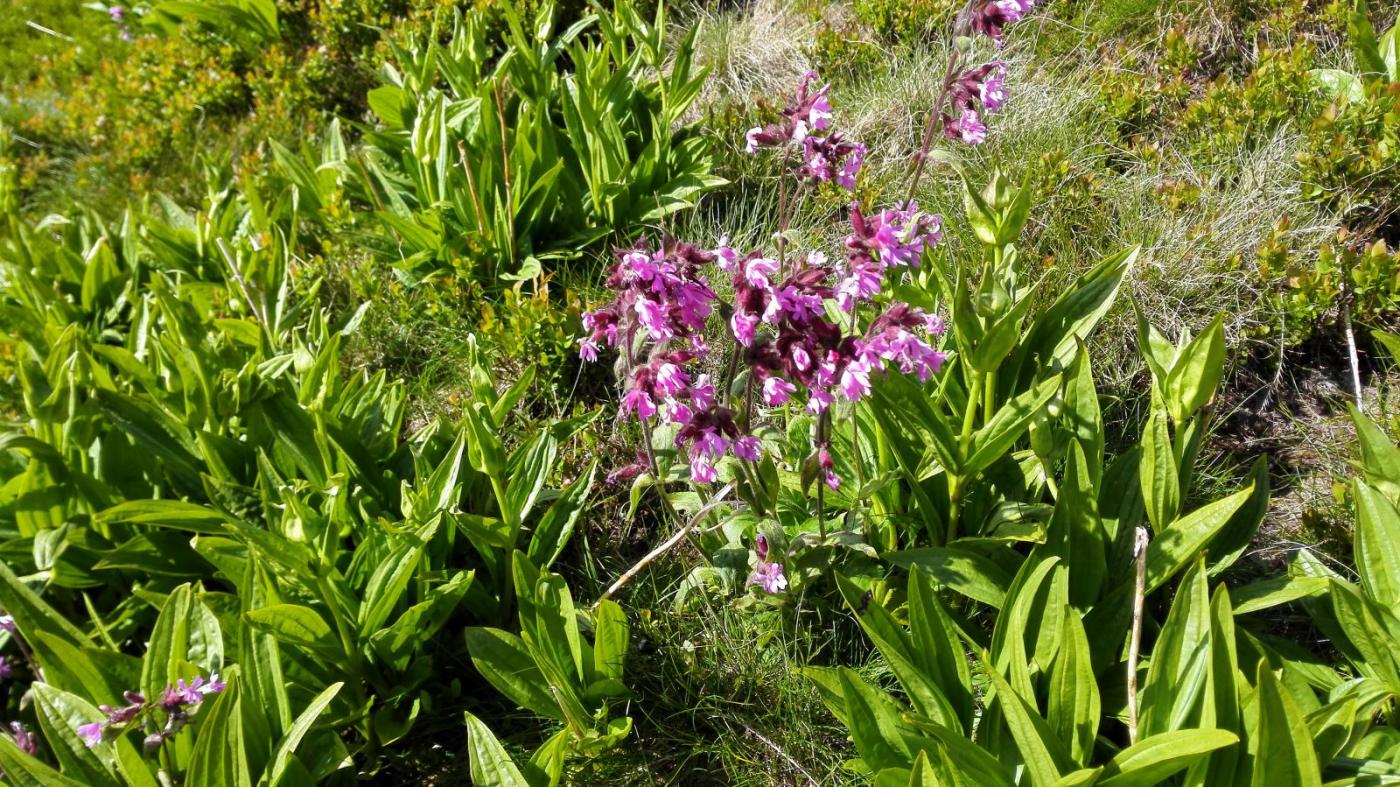 2016-07-09 16.22.20.jpg