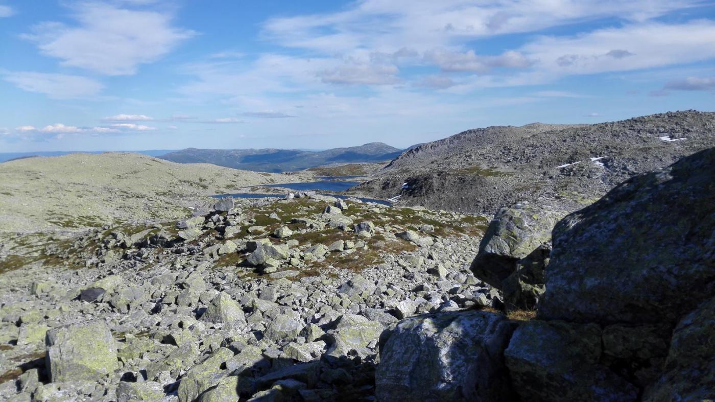 2016-07-09 17.47.36.jpg