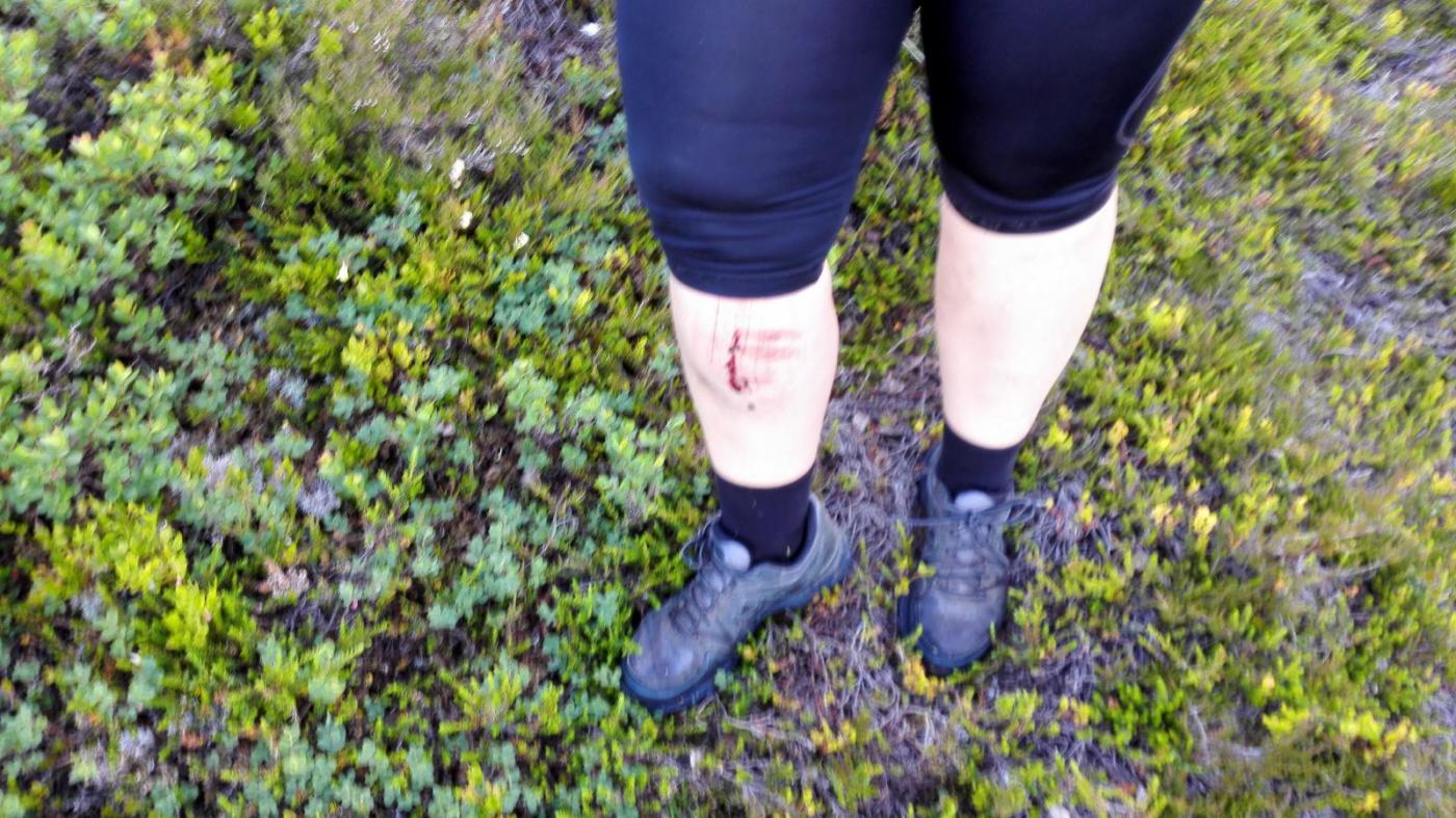 2016-07-09 20.36.22.jpg