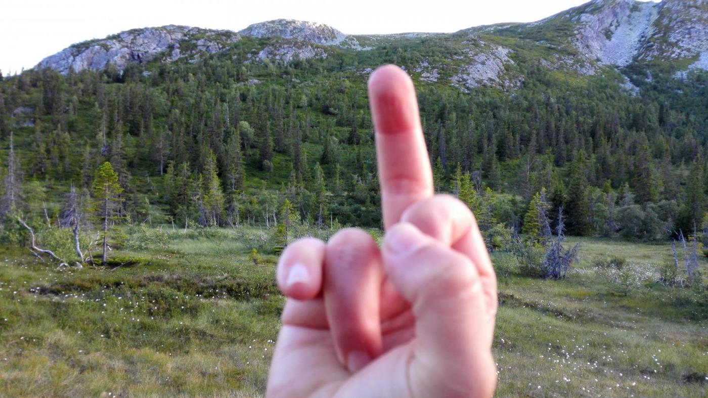 2016-07-09 21.00.17.jpg