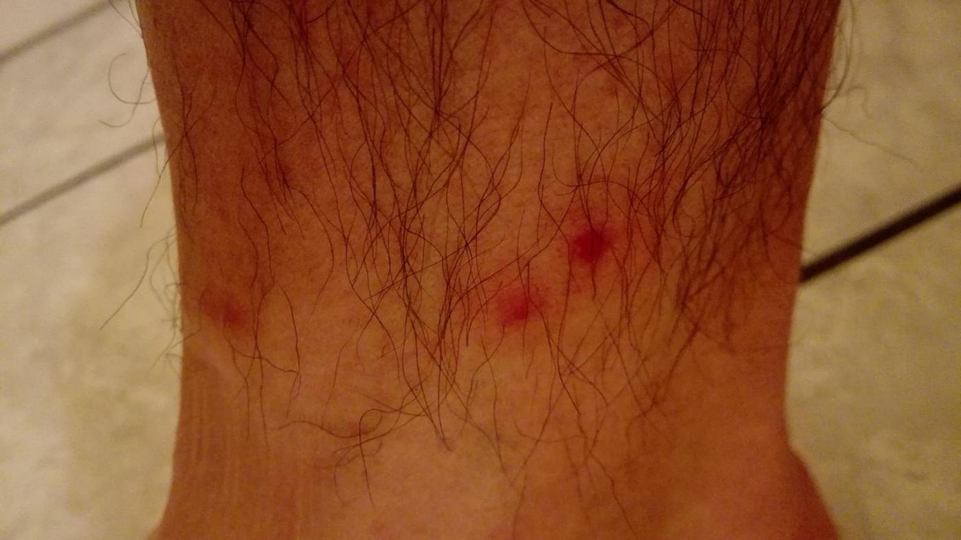 2016-07-10 00.37.05.jpg