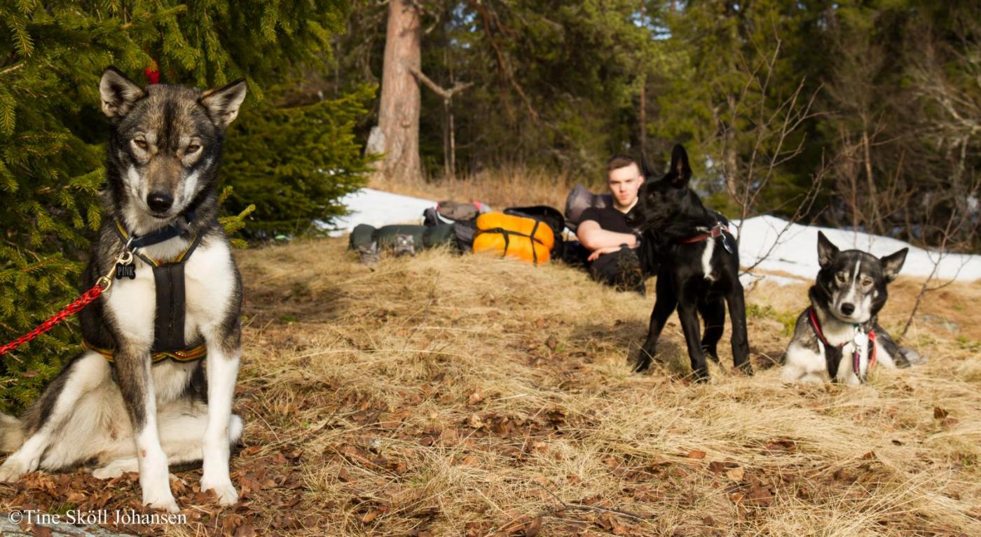 by Tine Sköll Johansen-8.jpg