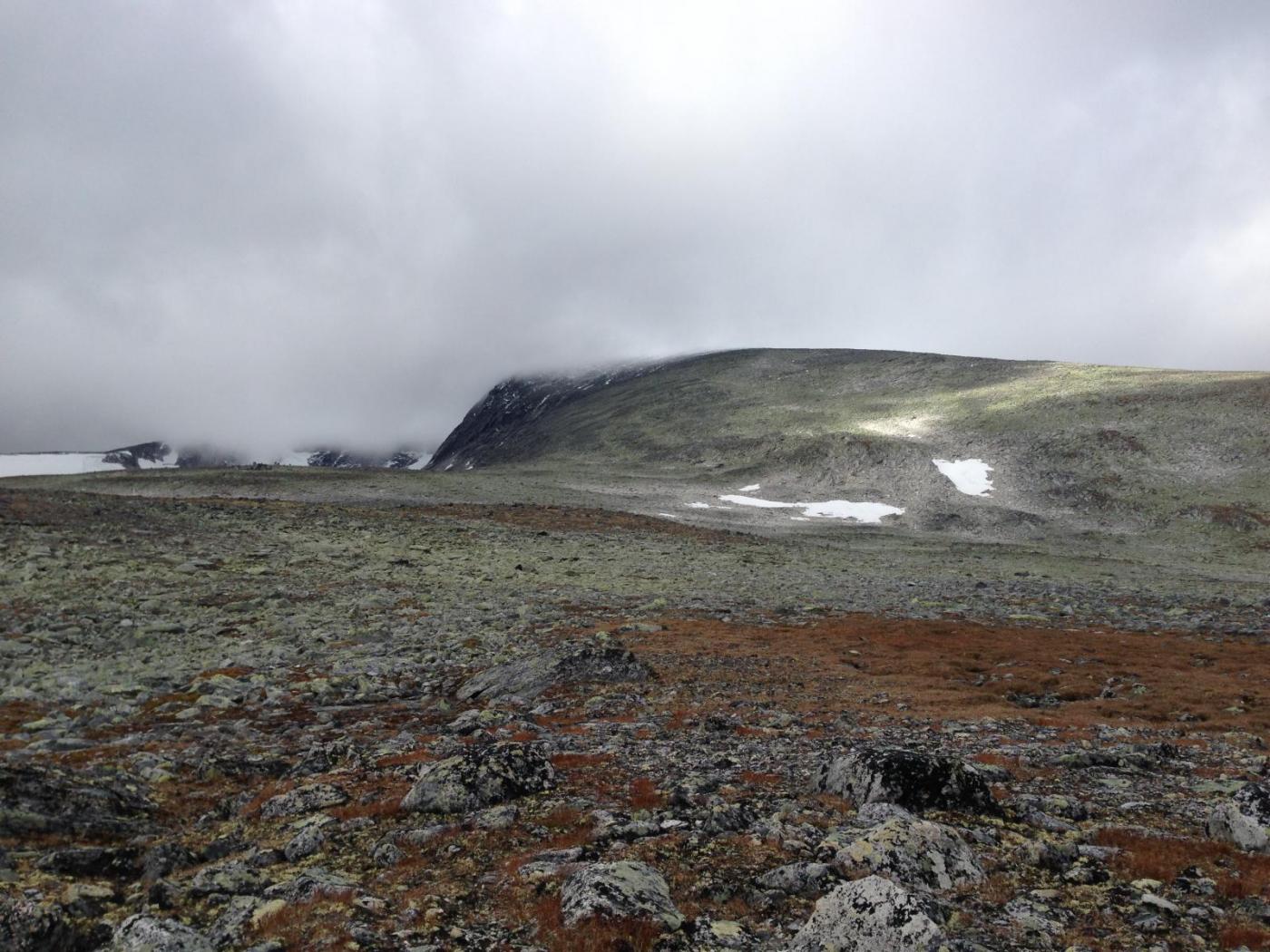 2015-09-30 11.58.40.jpg