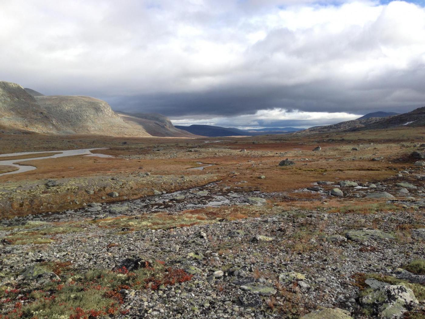 2015-09-30 14.47.49.jpg