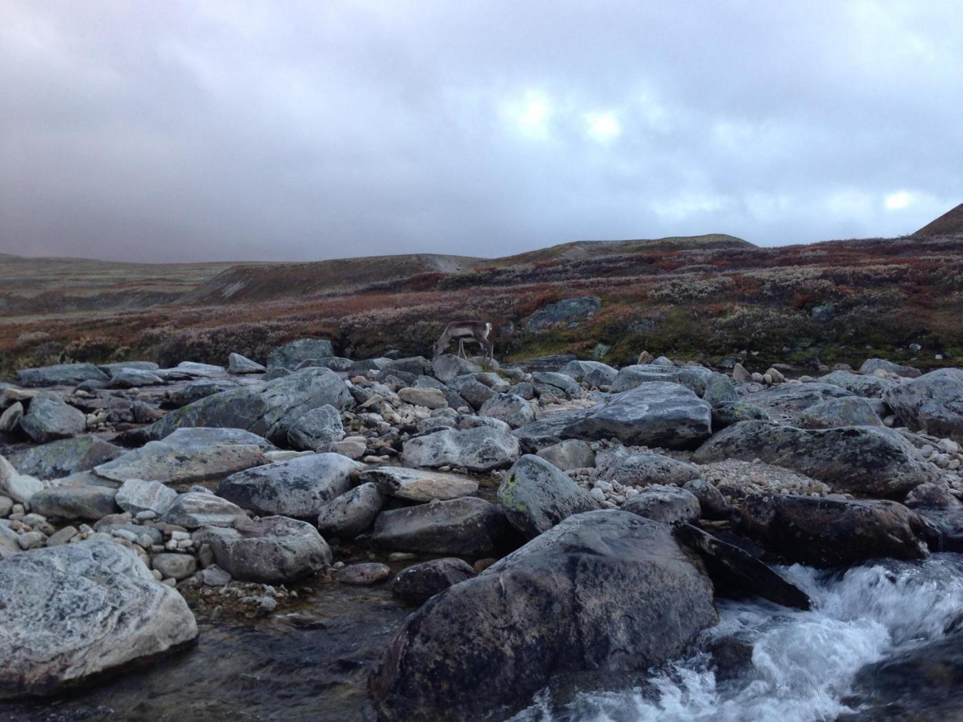 2015-09-30 18.41.20.jpg