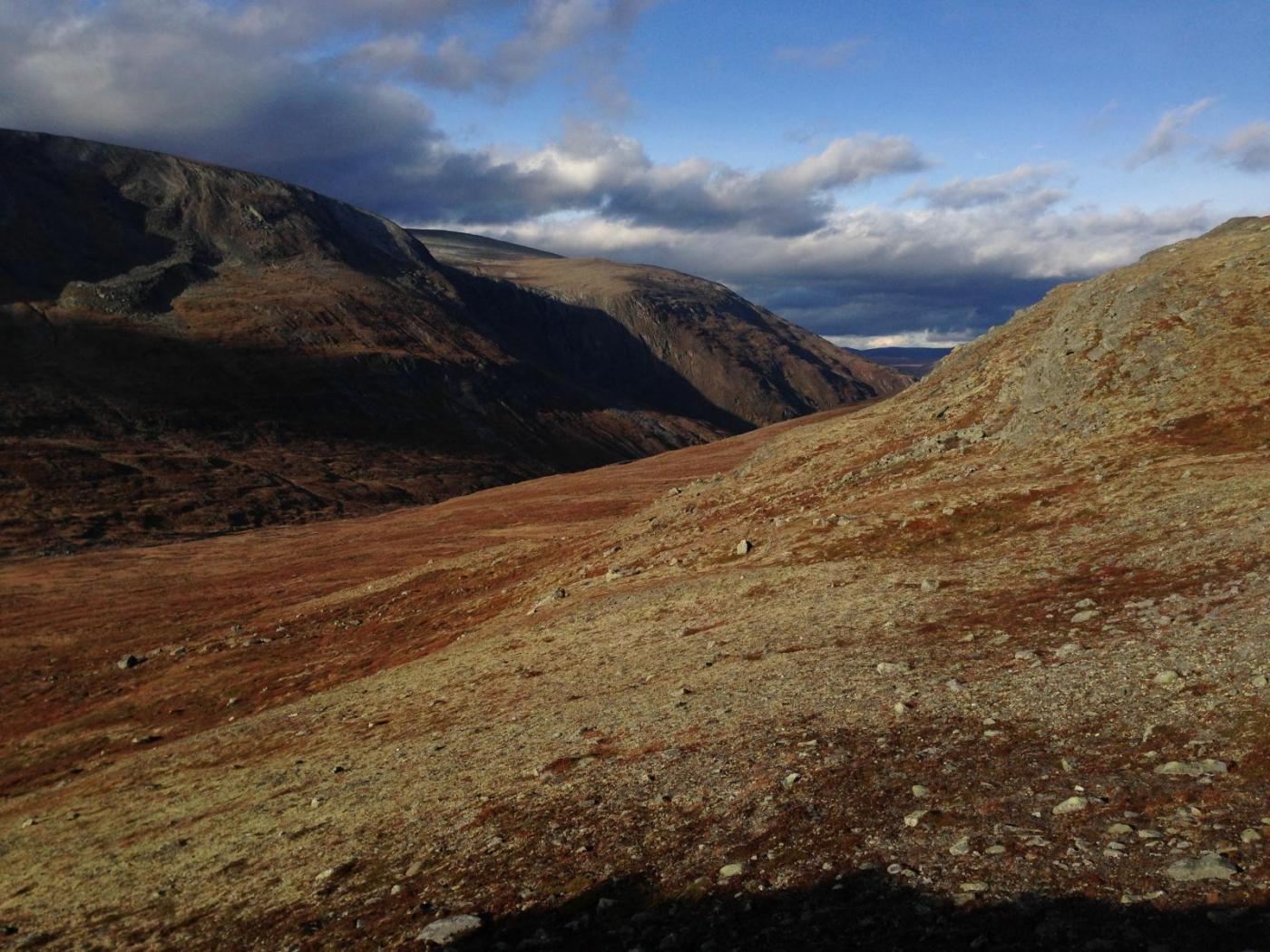 2015-10-01 16.36.24.jpg