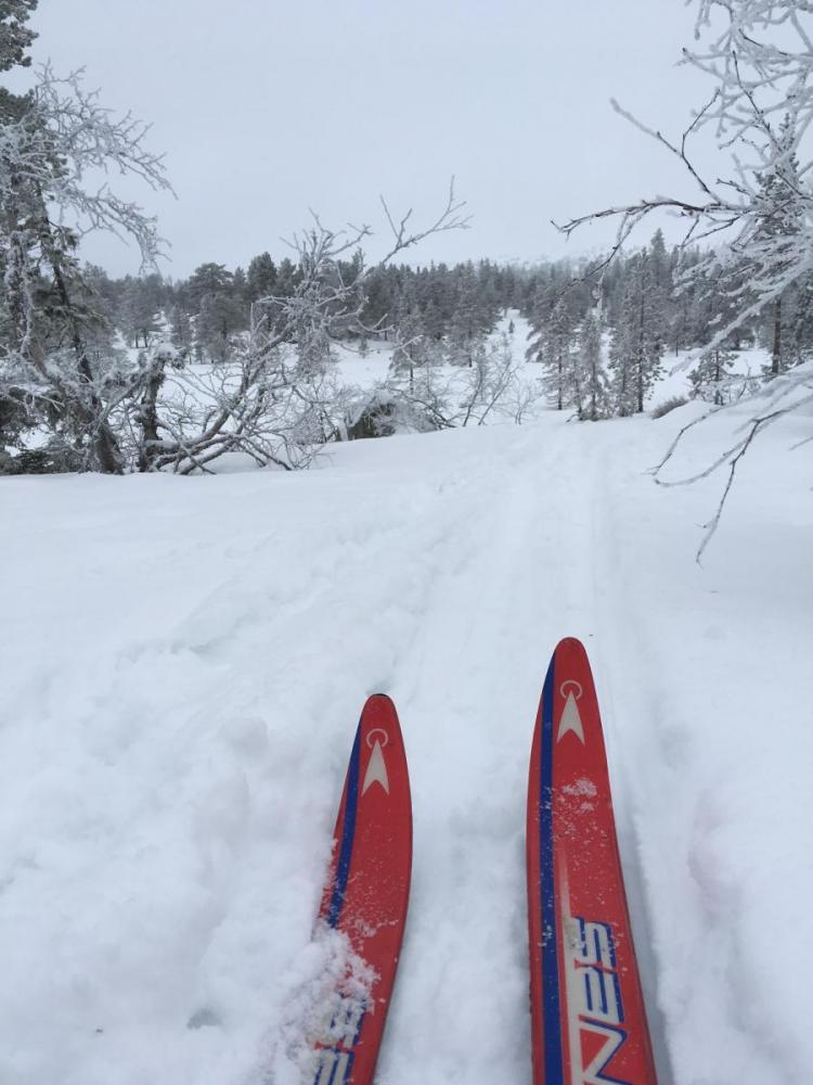 Søtdalen 290117.jpg