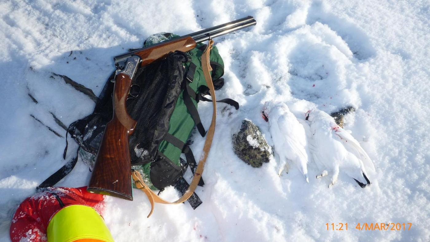 Dividalen mars 17 - 15.jpg