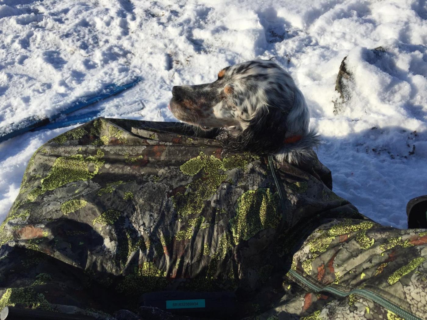 Dividalen mars 17 - 16.jpg