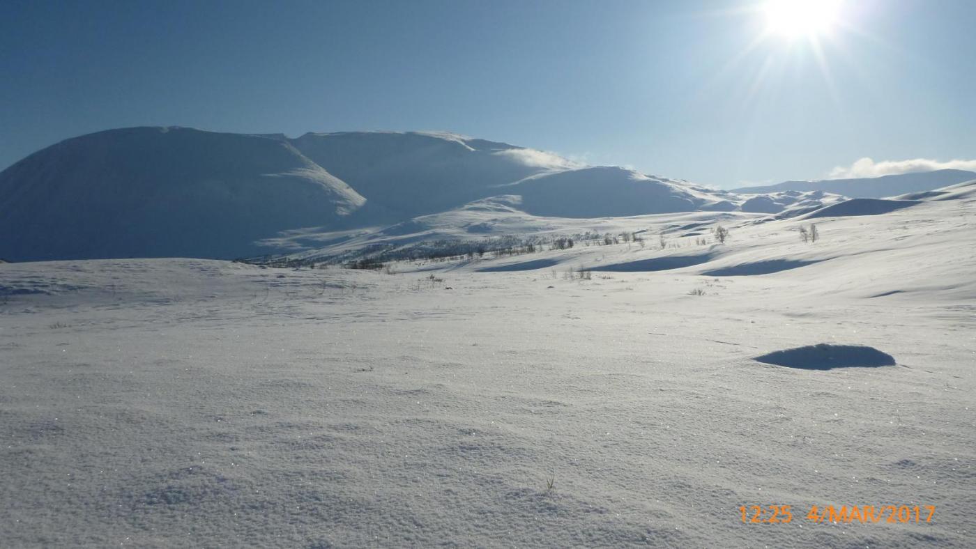 Dividalen mars 17 - 19.jpg