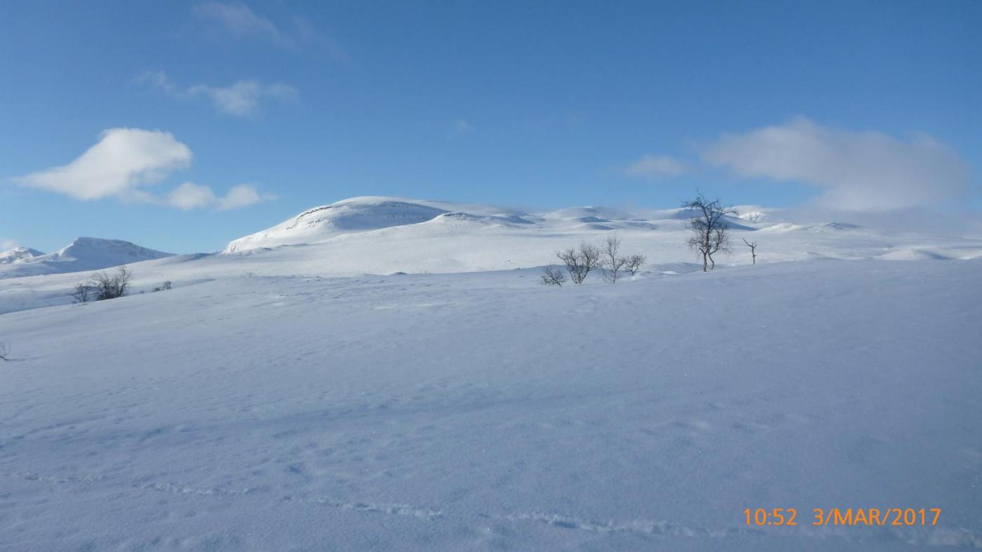 Dividalen mars 17 - 20.jpg