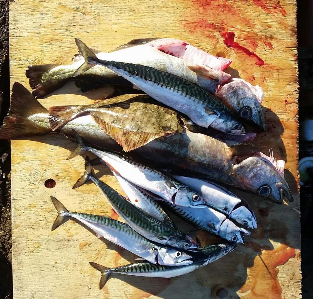 2016-10-05 11.29.53.jpg