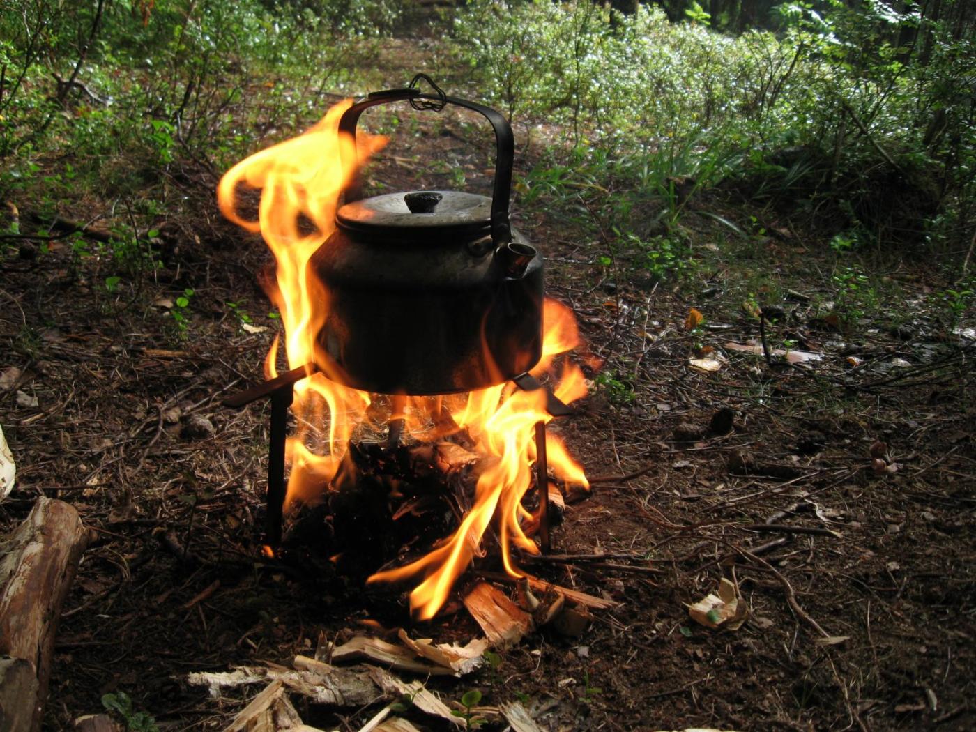 2016-08-06 16.17.39.jpg