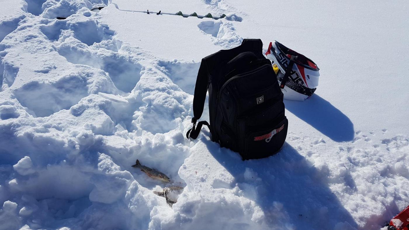 2017-04-08 12.40.49.jpg