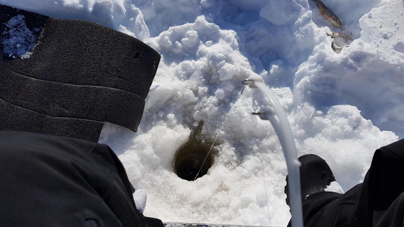 2017-04-08 12.40.55.jpg