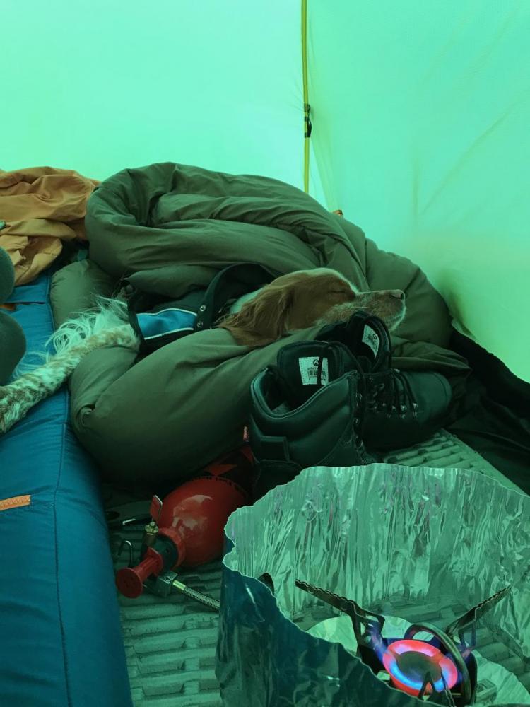 Dividalen april 17 - 1.jpg