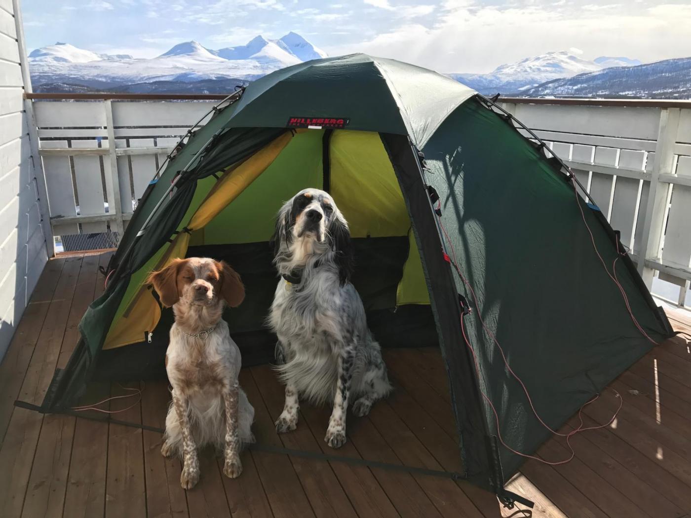 glede og freke - 1.jpg