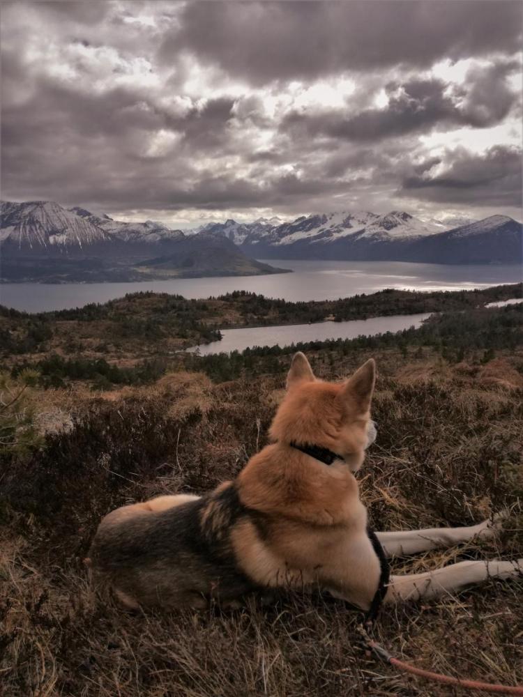 IMG_20170507_152055 (2).jpg