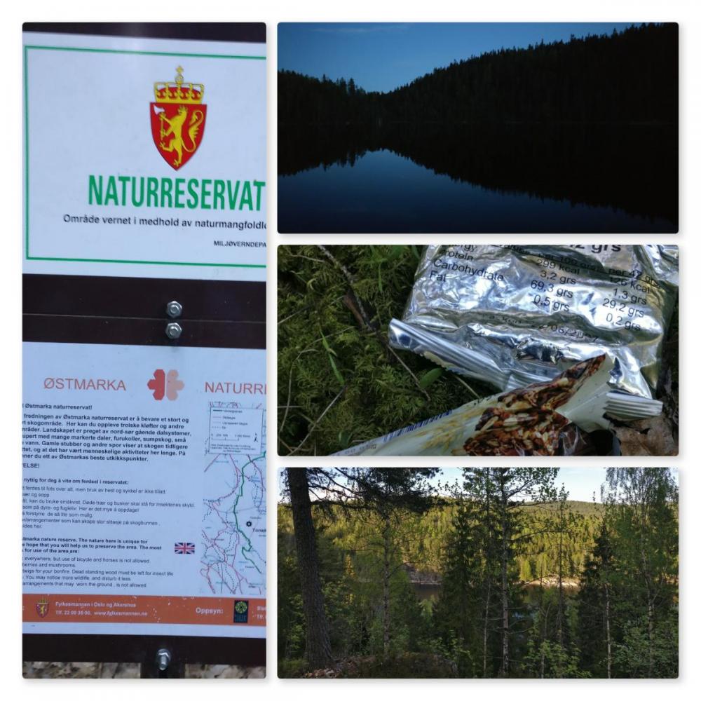 New Phototastic Collage.jpg